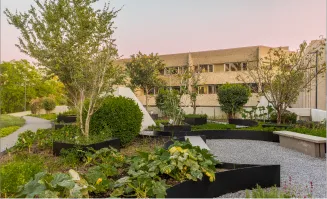 Jardines del desarrollo