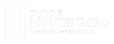 Torre Montenegro Lomas de Angelópolis