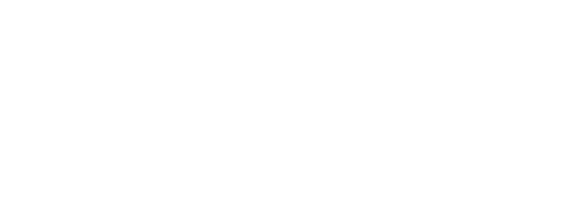 Data IQ, Expertos en datos